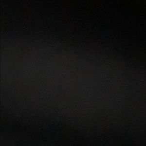 Meet your Posher, Leila